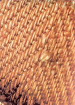 Tissu du Saint Suaire Tissu du Saint Suaire