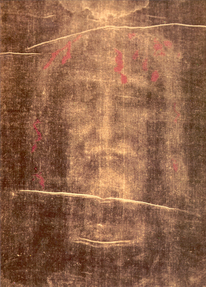 The Holy Face The Holy Face