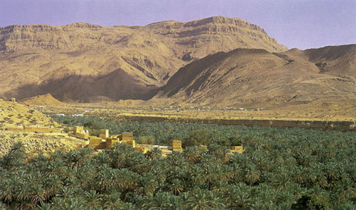 The palm grove of an oasis in Arabia Felix