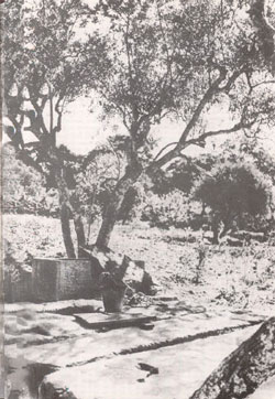 “The Well”