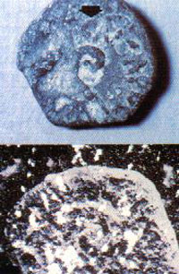 Coins