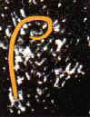 The imprint of the astrologer's staff 