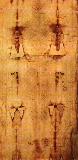 Positive photograph of the dorsal imprint.