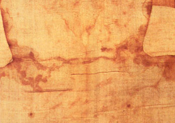 The back of Jesus on the Holy Shroud