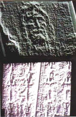 Close-up of the Face and facial and dorsal images