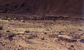 Habitation structures from the Bronze Age Complex